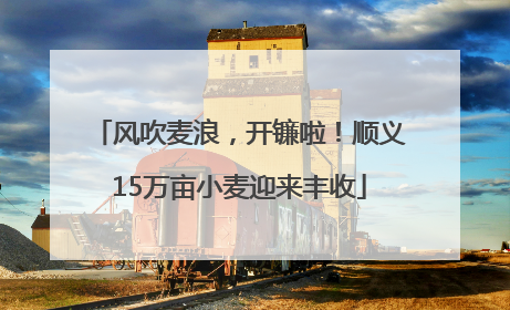 风吹麦浪，开镰啦！顺义15万亩小麦迎来丰收