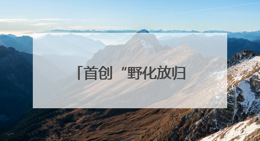 首创“野化放归”新模式……成都环境资源法庭如何推进依法筑牢长江上游生态屏障