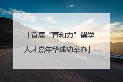 首届“青和力”留学人才嘉年华成功举办