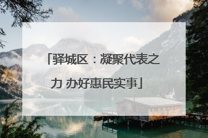 驿城区：凝聚代表之力 办好惠民实事