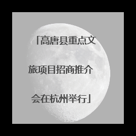 高唐县重点文旅项目招商推介会在杭州举行