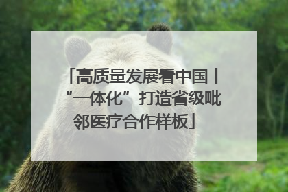 高质量发展看中国丨“一体化”打造省级毗邻医疗合作样板