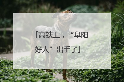 高铁上，“阜阳好人”出手了