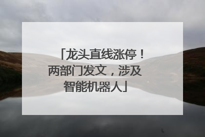龙头直线涨停！两部门发文，涉及智能机器人