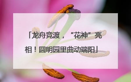 龙舟竞渡，“花神”亮相！圆明园里曲动端阳