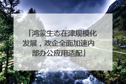 鸿蒙生态在津规模化发展，政企全面加速内部办公应用适配
