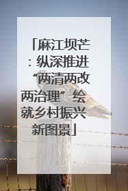 麻江坝芒：纵深推进“两清两改两治理”绘就乡村振兴新图景