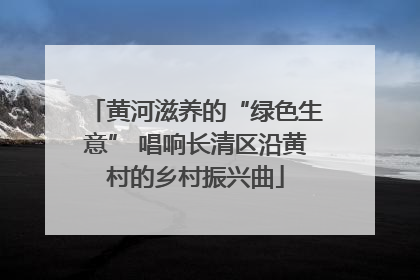 黄河滋养的“绿色生意” 唱响长清区沿黄村的乡村振兴曲