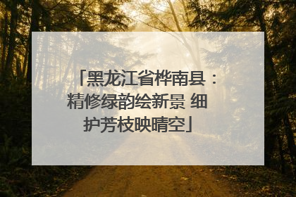 黑龙江省桦南县：精修绿韵绘新景 细护芳枝映晴空