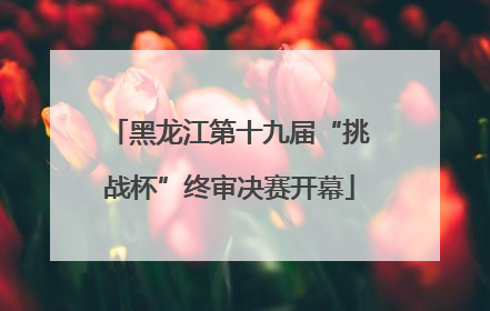 黑龙江第十九届“挑战杯”终审决赛开幕