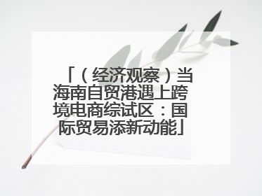 （经济观察）当海南自贸港遇上跨境电商综试区：国际贸易添新动能