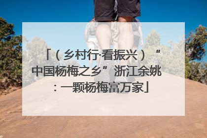 （乡村行·看振兴）“中国杨梅之乡”浙江余姚：一颗杨梅富万家