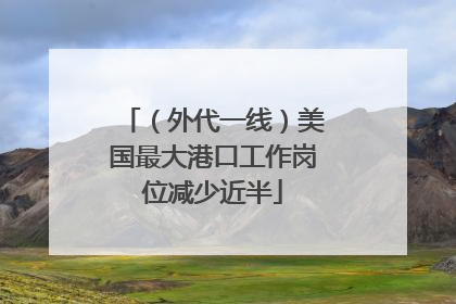 （外代一线）美国最大港口工作岗位减少近半
