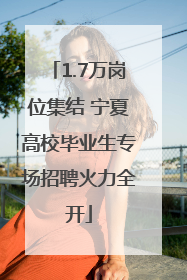 1.7万岗位集结 宁夏高校毕业生专场招聘火力全开