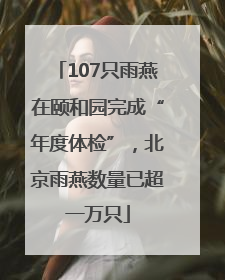 107只雨燕在颐和园完成“年度体检”，北京雨燕数量已超一万只