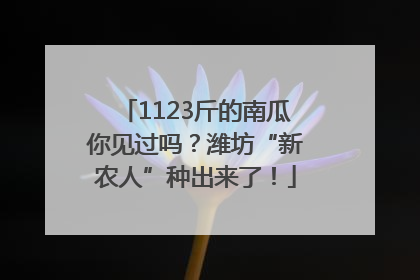 1123斤的南瓜你见过吗？潍坊“新农人”种出来了！