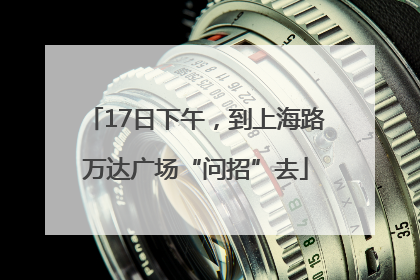 17日下午，到上海路万达广场“问招”去