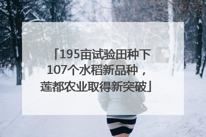 195亩试验田种下107个水稻新品种，莲都农业取得新突破