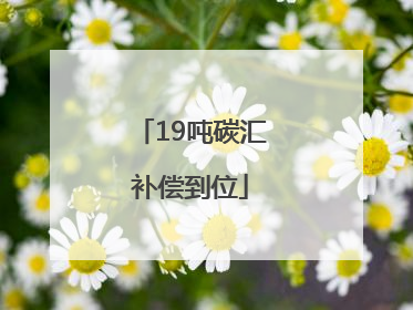 19吨碳汇补偿到位