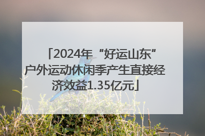 2024年“好运山东”户外运动休闲季产生直接经济效益1.35亿元