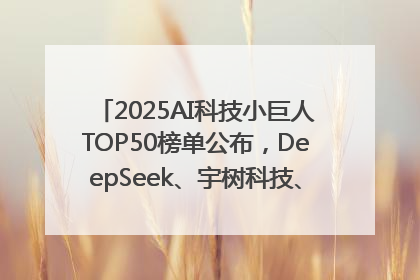 2025AI科技小巨人TOP50榜单公布，DeepSeek、宇树科技、蘑菇车联等企业荣誉上榜