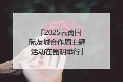 2025云南国际友城合作周主题活动在昆明举行