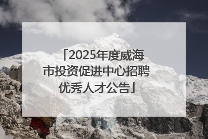 2025年度威海市投资促进中心招聘优秀人才公告