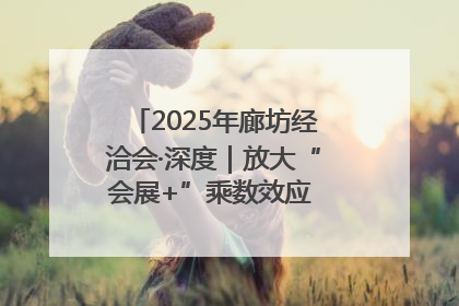 2025年廊坊经洽会·深度｜放大“会展+”乘数效应 打造消费新场景