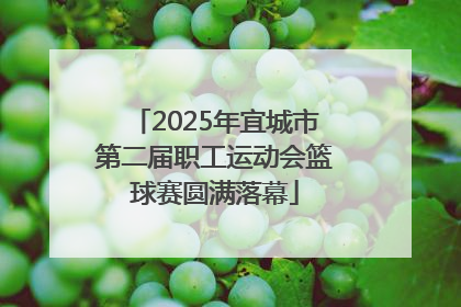 2025年宜城市第二届职工运动会篮球赛圆满落幕