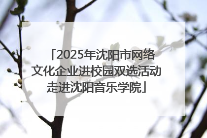 2025年沈阳市网络文化企业进校园双选活动走进沈阳音乐学院
