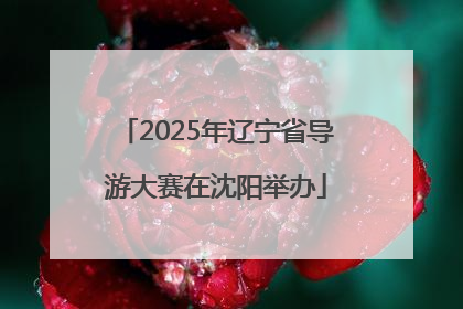 2025年辽宁省导游大赛在沈阳举办
