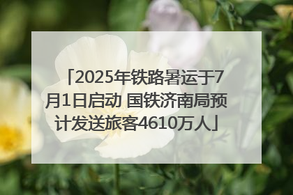 2025年铁路暑运于7月1日启动 国铁济南局预计发送旅客4610万人