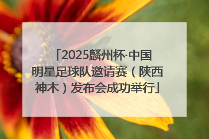 2025麟州杯·中国明星足球队邀请赛（陕西神木）发布会成功举行