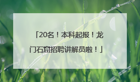 20名！本科起报！龙门石窟招聘讲解员啦！