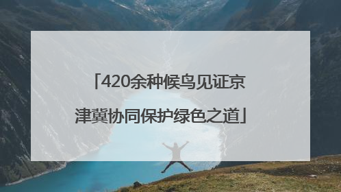 420余种候鸟见证京津冀协同保护绿色之道