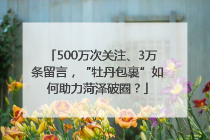 500万次关注、3万条留言，“牡丹包裹”如何助力菏泽破圈？