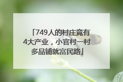 749人的村庄竟有4大产业，小官村一村多品铺就富民路