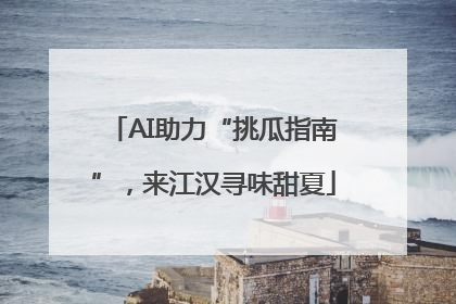 AI助力“挑瓜指南”，来江汉寻味甜夏