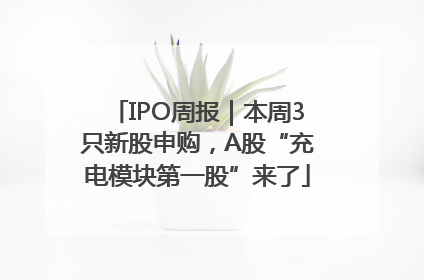 IPO周报｜本周3只新股申购，A股“充电模块第一股”来了