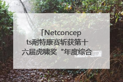 Netconcepts耐特康赛斩获第十六届虎啸奖“年度综合服务商”大奖